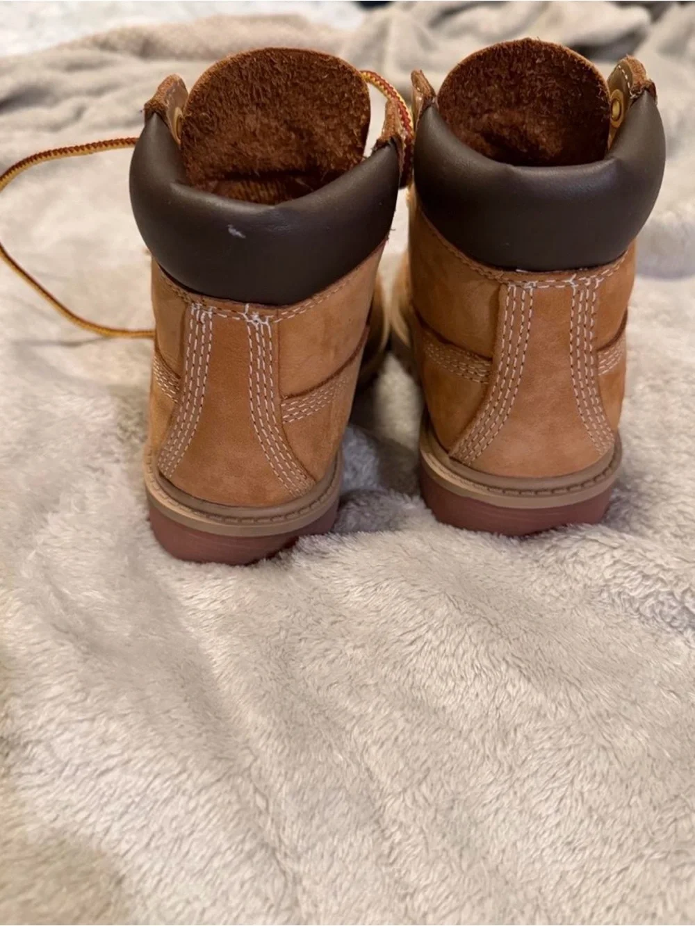 Timberland durable wheat